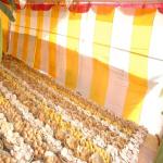 Vraj-Yatra-2014- (2903)